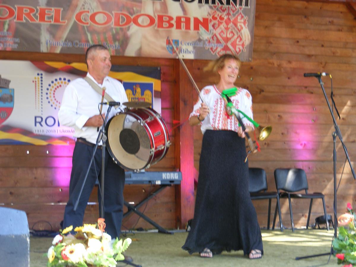 Pensiunea Dorel Codoban *